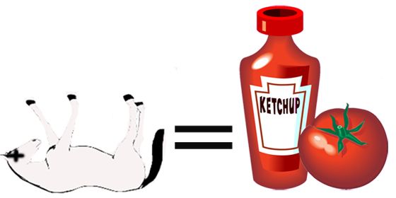 Dead Horse Means Ketchup Yachties In Translation